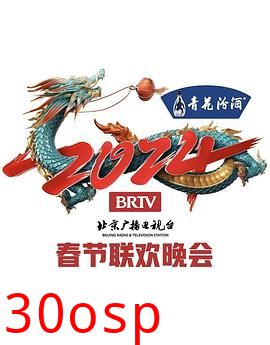 2024年北京电视台龙年春节联欢晚会