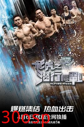 飞虎之潜行极战国语