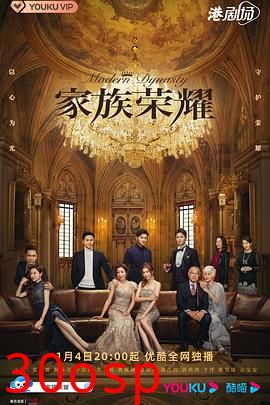 家族荣耀国语
