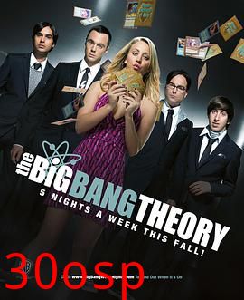 生活大爆炸第五季