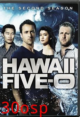 夏威夷特勤组第二季