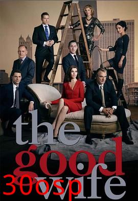 傲骨贤妻第六季