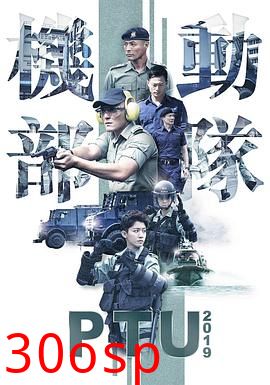 机动部队2019粤语