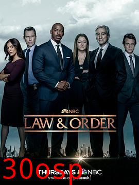 法律与秩序第二十二季