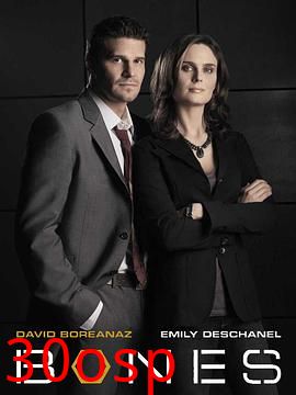 识骨寻踪第一季