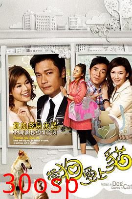 当狗爱上猫粤语