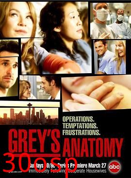 实习医生格蕾第一季