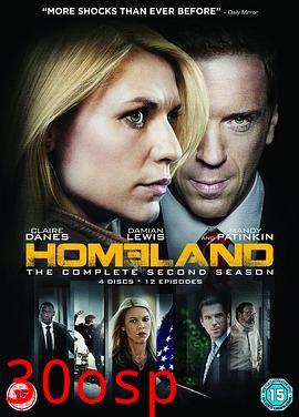 国土安全第二季