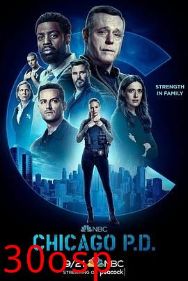 芝加哥警署第十季