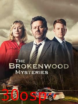 断林镇谜案第九季