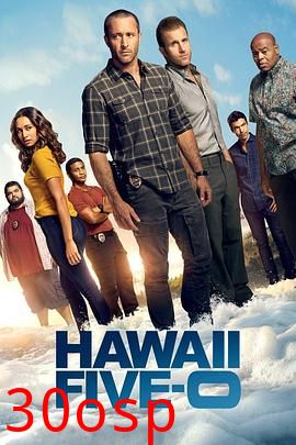 夏威夷特勤组第十季