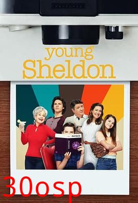 小谢尔顿第六季