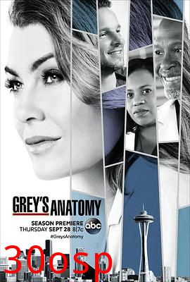 实习医生格蕾第十四季