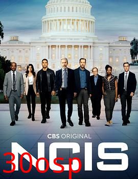 海军罪案调查处第二十季