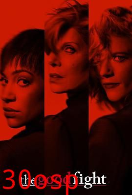 傲骨之战第二季