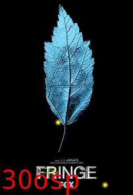 危机边缘第一季