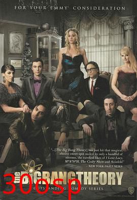 生活大爆炸第七季