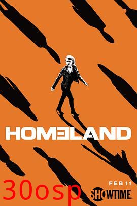 国土安全第七季