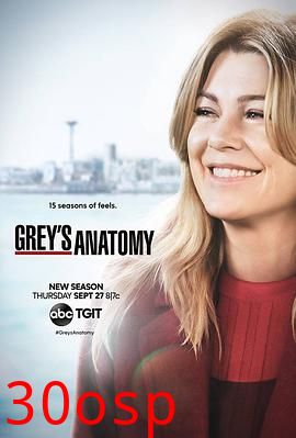 实习医生格蕾第十五季