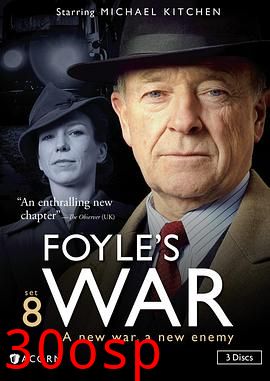 战地神探第八季