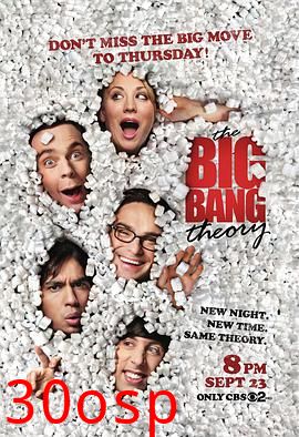 生活大爆炸第四季
