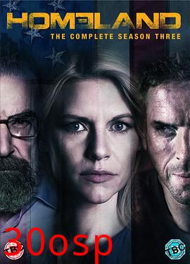 国土安全第三季