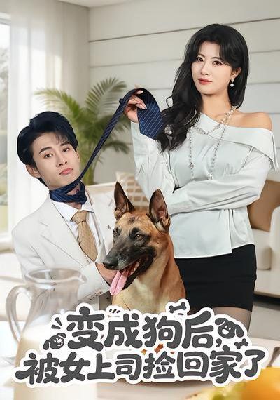 变成狗后，被女上司捡回家了
