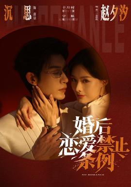 婚后恋爱禁止条例