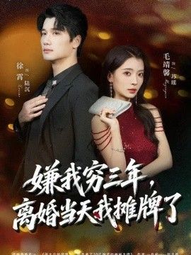 嫌我穷三年，离婚当天我摊牌了