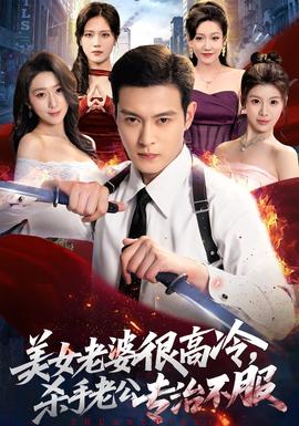 美女老婆很高冷，杀手老公专治不服
